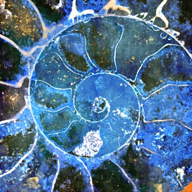 Blue Ammonite