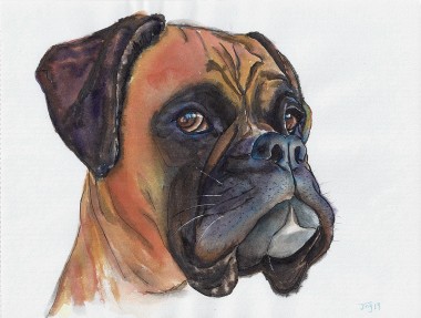 best friends, boxer dog art, boxer dog, dog lovers, animal,boxer,dog petportrait, watercolors, art, painting, jingArt, JingTian