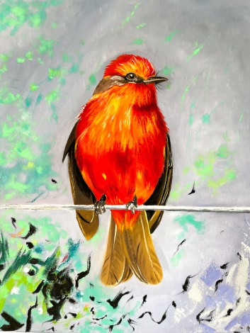 Red Orange Bird