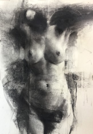 Nude,drawing,figure,woman,charcoal