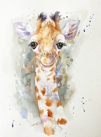 Baby Giraffe Chika