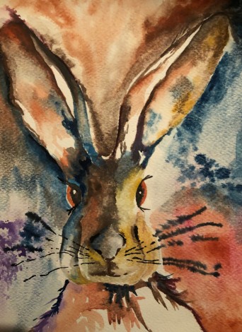 Vibrant Hare