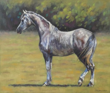 Grey Arab Horse Pastel Painting 