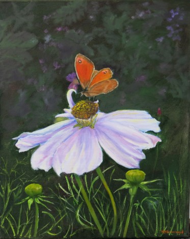 Canvas oil painting of a cosmos and gatekeeper butterfly, painted in oil by Maureen Greenwood.
