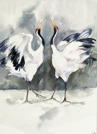Bliss_Dancing Cranes