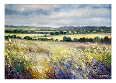 Fields Of Gold, Northumberland