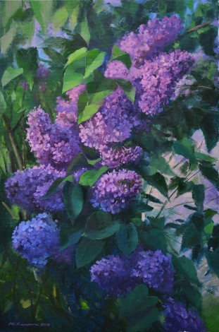 Lilac in the yard