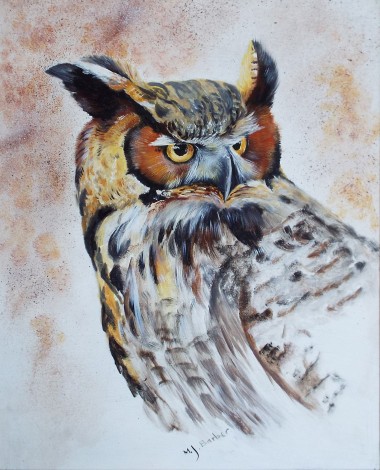 Eagle Owl Study