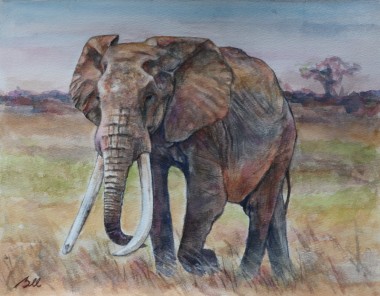 Great Tusker Elephant