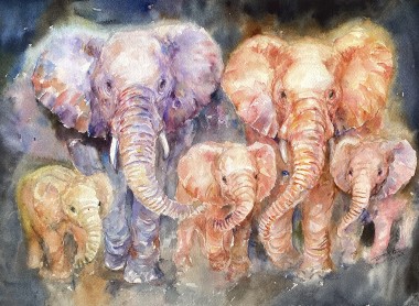Elephants_Family of Five