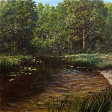 Landscape Forest Brook