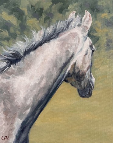 Arab Horse Oil Painting