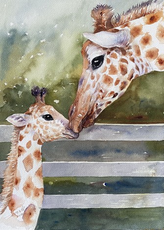 Giraffe Mother and Baby-II