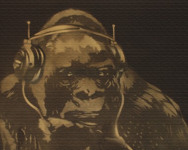 Gorilla in the groove. (On a Urbiox)