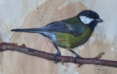 The Great Tit (Parus Major) #May