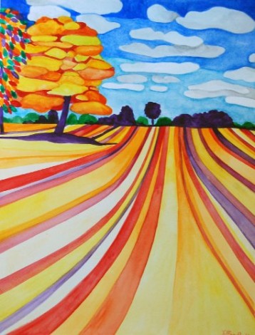 Harvest Colour Field