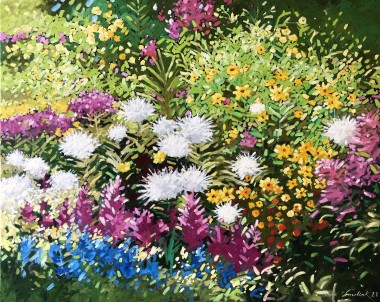 Colourful Flowers in Garden
