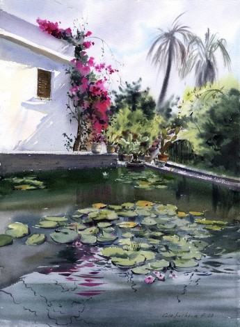 Pond with water lilies #2