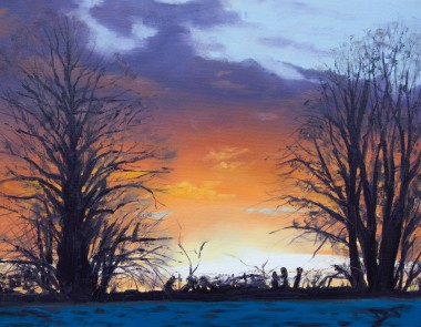 Sunset Through trees, tree silhouettes