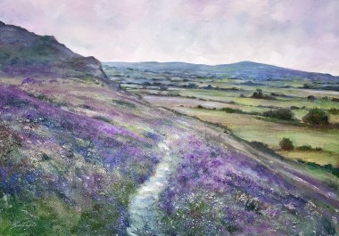 Lavender Light, Northumberland