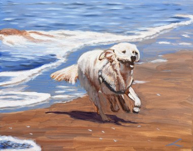 Dog at the Sea 7