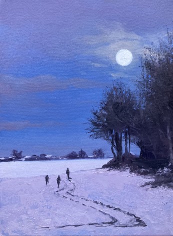 Walking in Moonlight - landscape, snowscape, winter landscape, nightime, winter, moonscape, 