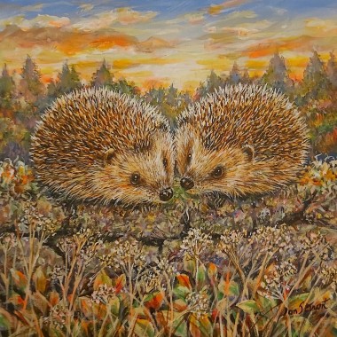 Hedgehogs full view 