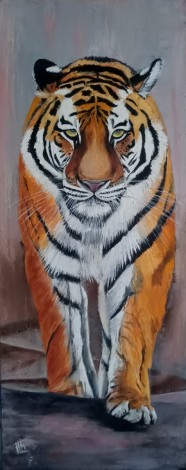 Tiger Look
