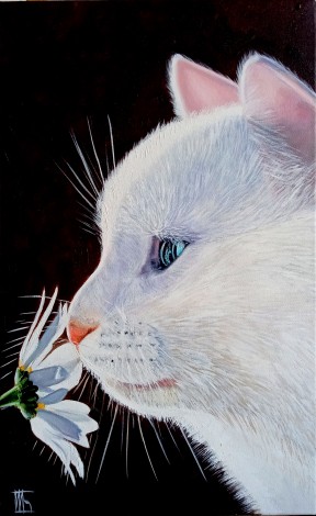 Portrait of a White Cat