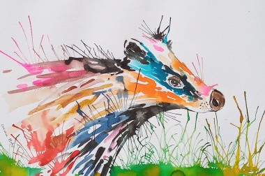 Colourful Abstract Badger 