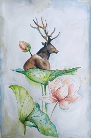 Rebirth. Deer On Water Lily Leaf