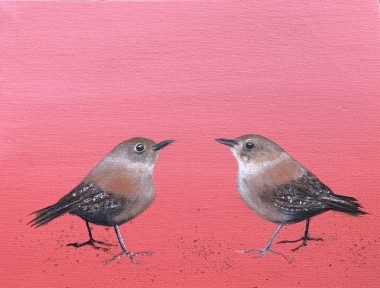 Two Little Wrens ~ on Rose