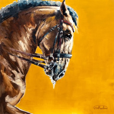 Horse Series. Andalusian Passion. 