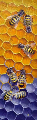 Honeycomb 2.