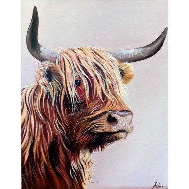 Scottish highland cow 