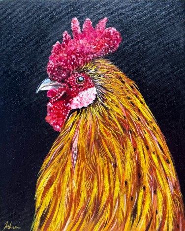 Rooster chicken 