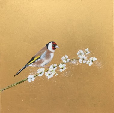 Goldfinch on Cherry Blossom