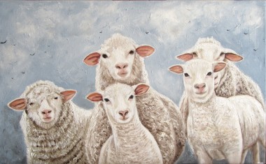 Curlous Sheeps