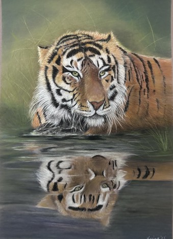 Tiger Reflections 