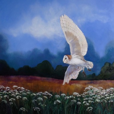 In the Company of Silence (Barn Owl Hunting)