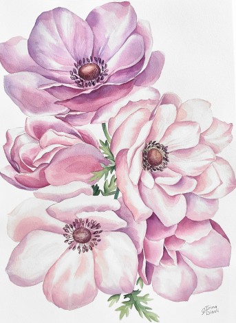 watercolor
painting
anemone
purple
violet
flowers
floral
blooming
spring
composition
modern
botanical
realism
