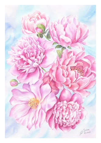 watercolor
painting
peony
peonies
pink
bouquet
leaves
flowers
floral
blooming
spring
composition
modern
botanical
realism
blue


