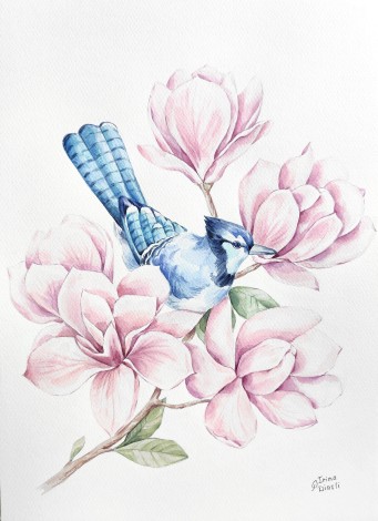 watercolor
painting
magnolia
bird
bird in a tree
blue bird
blue jay
flowers
floral
blooming
spring
composition
modern
botanical
realism
