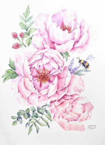 watercolor
painting
peonies
peony
flowers
floral
blooming
spring
composition
modern
botanical
realism