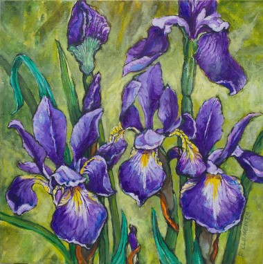main view irises