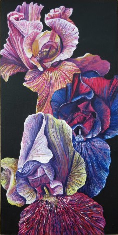 Irises Three