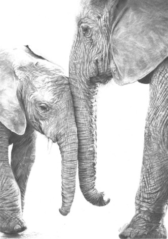 Elephant Mum and baby drawing
