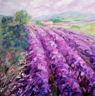 Lavender July
