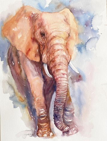 Kelsi the Elephant
