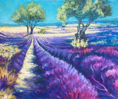 Summer Lavender Fields Of France